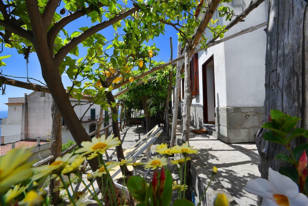 Villa Dama Di Cuori Conca dei Marini Exterior foto